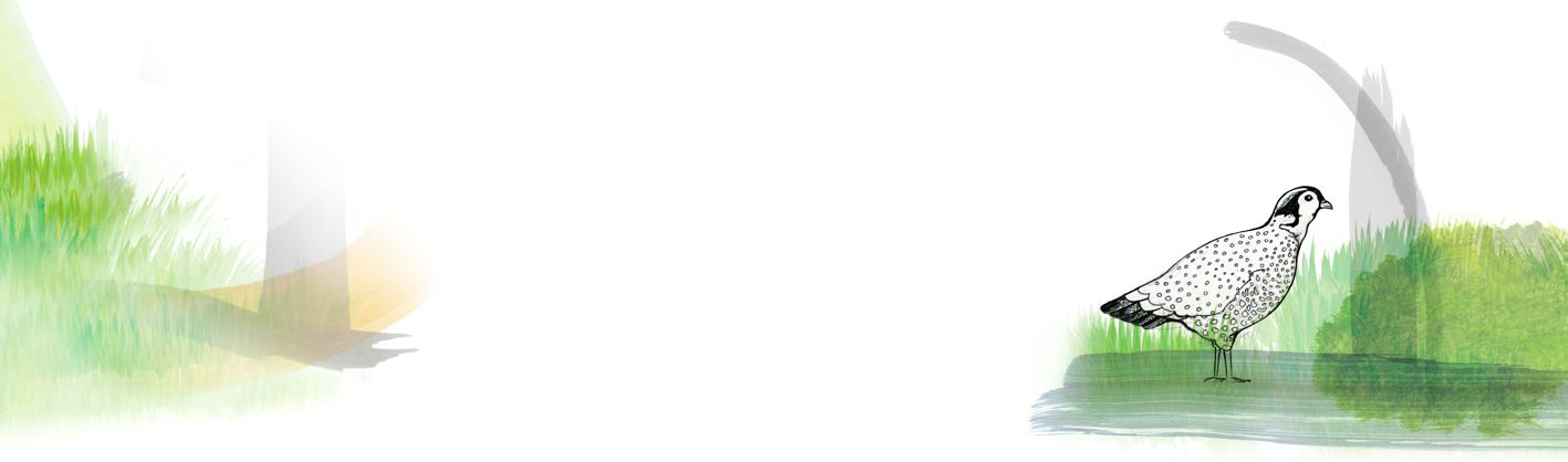 General Pheasant Husbandry