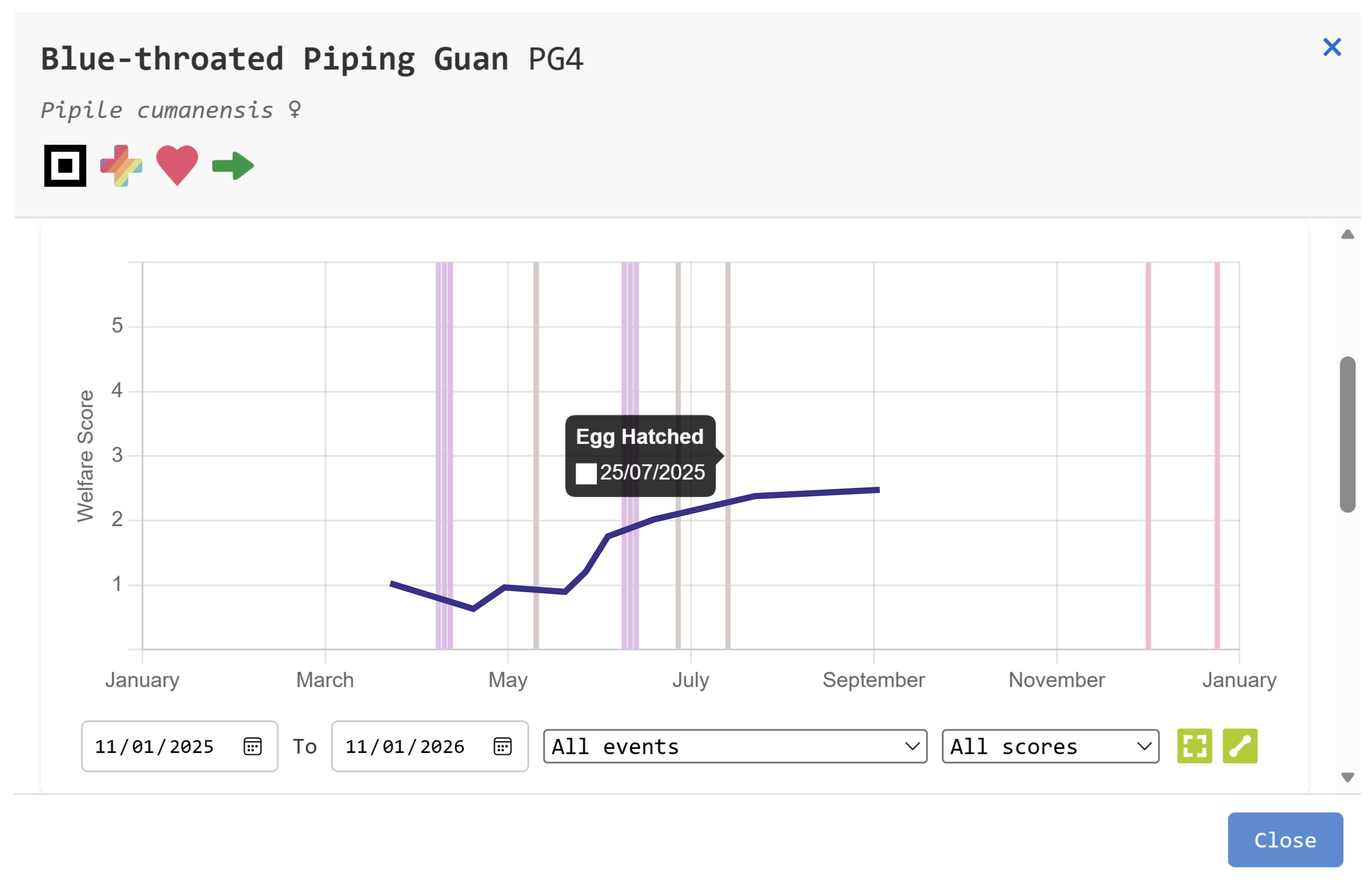 ZooMS interface preview showing observation and tasks